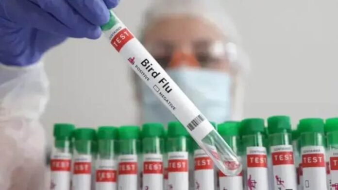 Bird Flu Alert